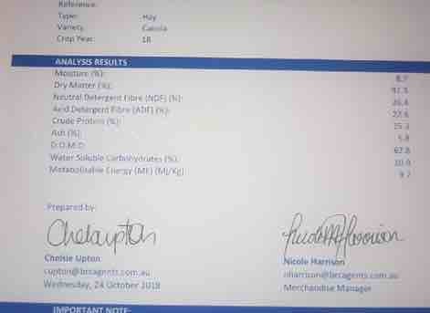 100mt Canola Hay 500-550kg 8x4x3 Bales   