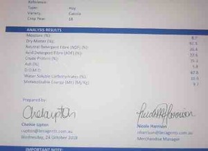 100mt Canola Hay 500-550kg 8x4x3 Bales   