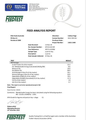 Lucerne - High Protein - Bale Baron Small Bales - Packs of 21