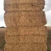 700 m/t of Canola Hay 8x4x3 670Kg Bales