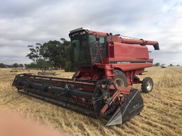 Case IH 1640 for sale