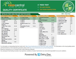Quality Sub Clover, 5x4 Rounds, Net Wrap