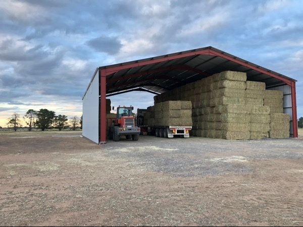 Canola Hay 8x4x3 big squares - 630kg