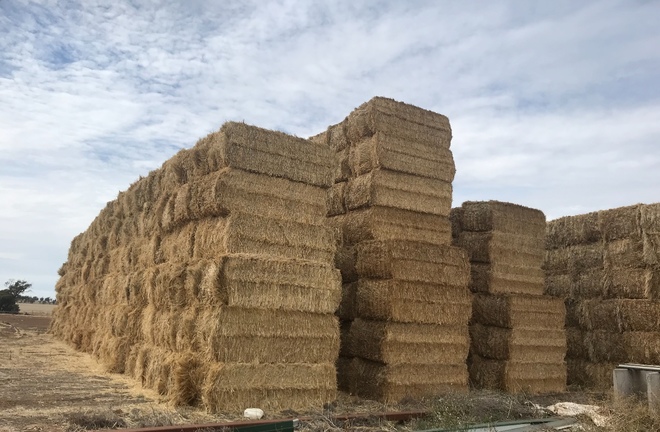 Wheat & Barley Straw 550kg 8x4x3 Bales