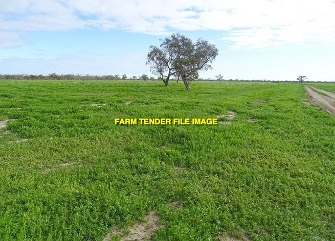 WANTED Lease Cropping Country