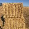 300mt Wheaten Hay 600+kg 8x4x3 Bales