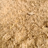 Oat Hulls