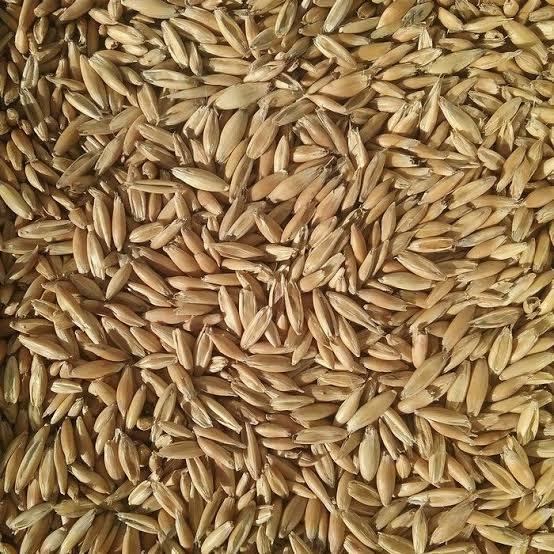 Durack Oats