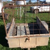 6 x 4 Calf Trailer