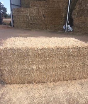 40mt Barley Straw 500kg 8x4x3 Bales