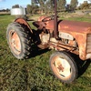 FERGUSON TED20 PETROL/KERO 1952