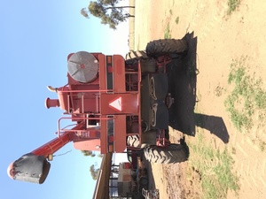 Case 2188 Header with MacDon 960 Front