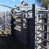 Portable Cattle Yards