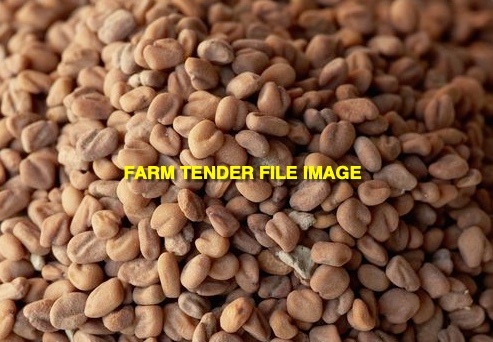 WANTED Fenugreek Seeds 