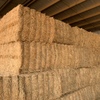 Lucerne Hay