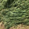 Oaten Rye Hay 400kg 5x4 Round Bales