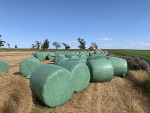 Rye/Clover & Turnip 4x4 Haylage (New Season) + Freight