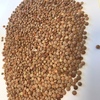 200/mt Feed Lentils For Sale