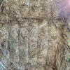 ❗️REDUCED❗️OATEN HAY with rye grass; Shedded 8x4x3 big squares; $160 PER TONNE