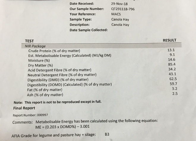 28 x Canola Hay 600-650kg approx. 8x4x3 Bales ex farm