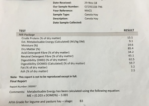 28 x Canola Hay 600-650kg approx. 8x4x3 Bales ex farm