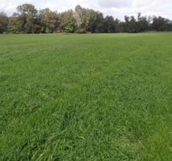 liquid fert boom & or parts wanted