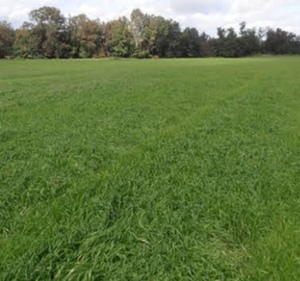 liquid fert boom & or parts wanted