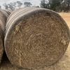 Wheat Straw