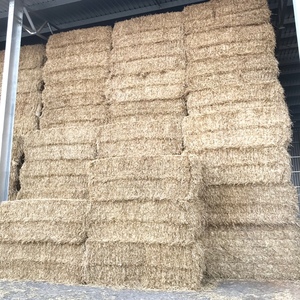 200mt Barley Straw 8x4x3 Bales