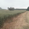 Oaten Header Trail Straw (8x4x3) baled with High Density baler (New Season)