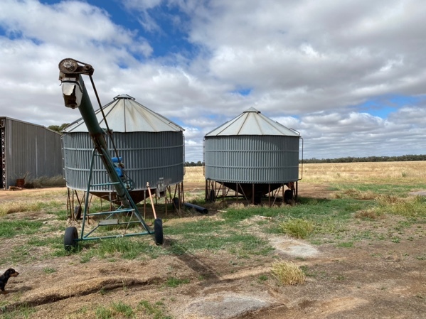 2 x Nelson Field Bins