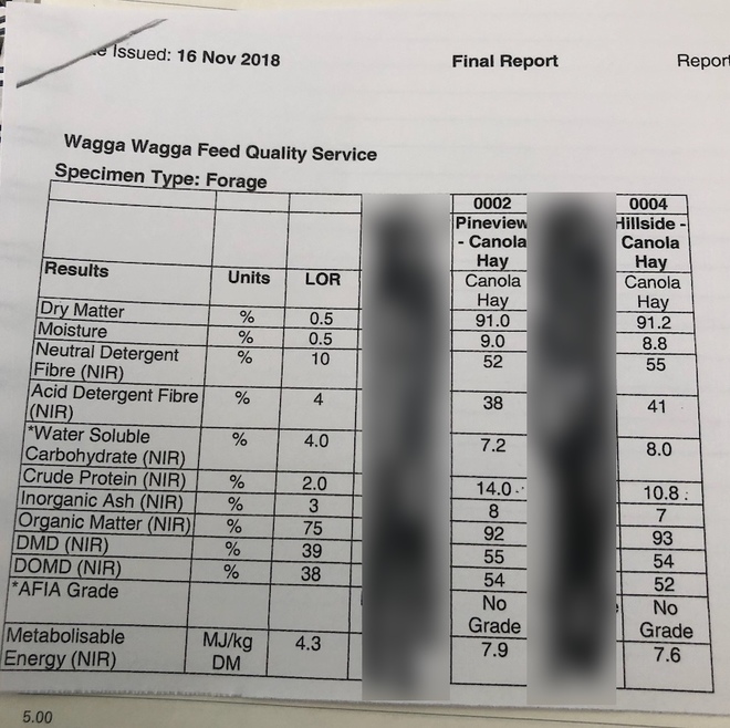 150mt Canola Hay 600-650kg 8x4x3 Bales