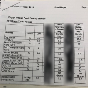 150mt Canola Hay 600-650kg 8x4x3 Bales