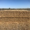 Wheat Straw 8x4x3