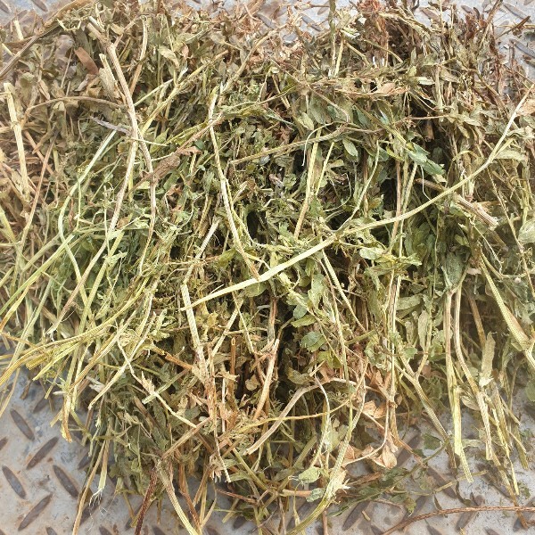 Vetch Hay