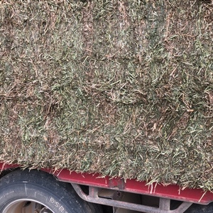 Vetch Hay 8x4x3 Bales
