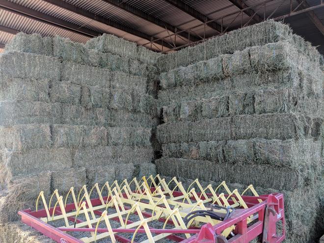 Lucerne Hay Small Squares