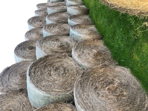 Water Damaged Hay to clear