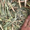 Barley Hay 670kg 8x4x3 Bales