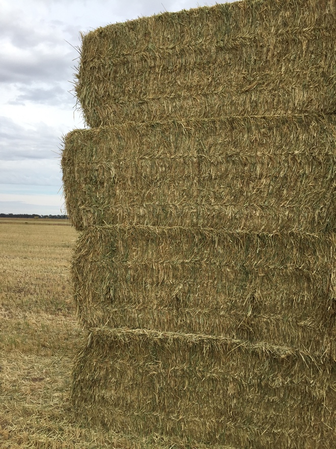 170mt Wheaten Hay 670kg 8x4x3 Bales