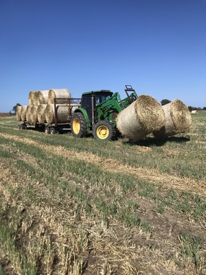400mt Oaten Hay 5x4 Rolls (New Season)