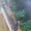 Conner Shea MC Range 7 Wheel Trailed Hay Rake