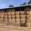50mt Wheaten Hay 8x4x3 Bales
