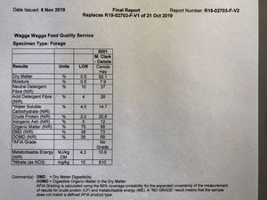 200mt Canola Hay 600-650kg 8x4x3 Bales, New Season, Shedded Ready for Pickup, Grong Grong