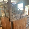 Shearing Shed Internals