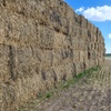 Wheaten Straw 8x4x3 Bales (Straw Walker Header Trails)
