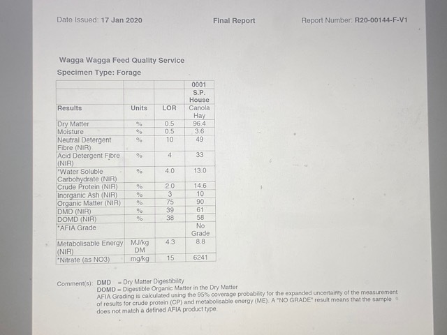 Canola Hay 8x4x3 bales 150 bales