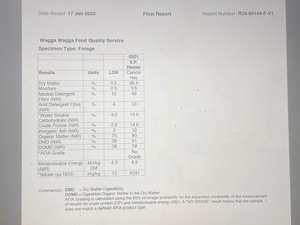 Canola Hay 8x4x3 bales 150 bales