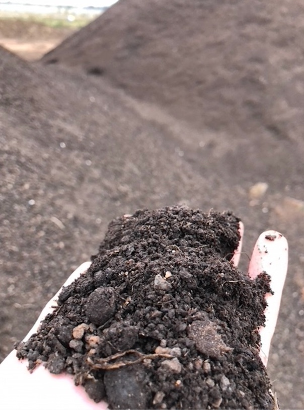 Feed Lot Composted Manure/Fertiliser