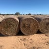 200 x Vetch Hay 5x4 Bales
